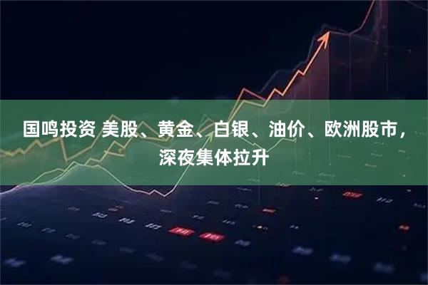 国鸣投资 美股、黄金、白银、油价、欧洲股市，深夜集体拉升