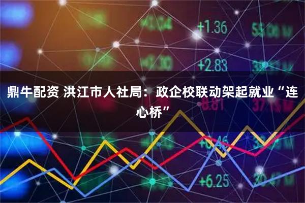 鼎牛配资 洪江市人社局：政企校联动架起就业“连心桥”