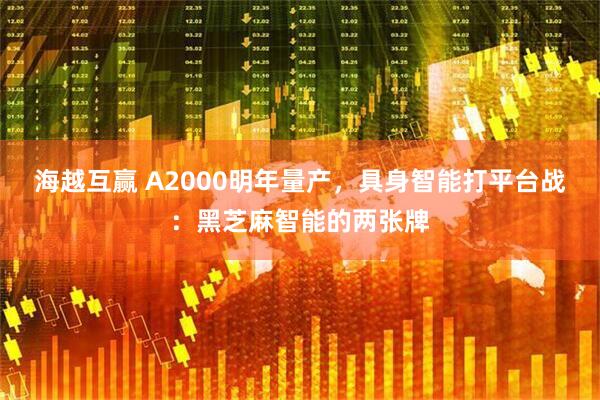 海越互赢 A2000明年量产，具身智能打平台战：黑芝麻智能的两张牌
