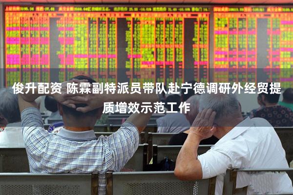 俊升配资 陈霖副特派员带队赴宁德调研外经贸提质增效示范工作