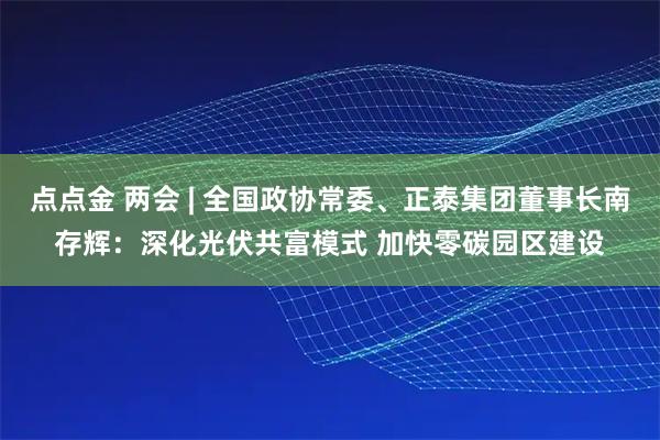 点点金 两会 | 全国政协常委、正泰集团董事长南存辉：深化光伏共富模式 加快零碳园区建设