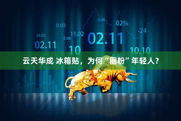云天华成 冰箱贴，为何“圈粉”年轻人？