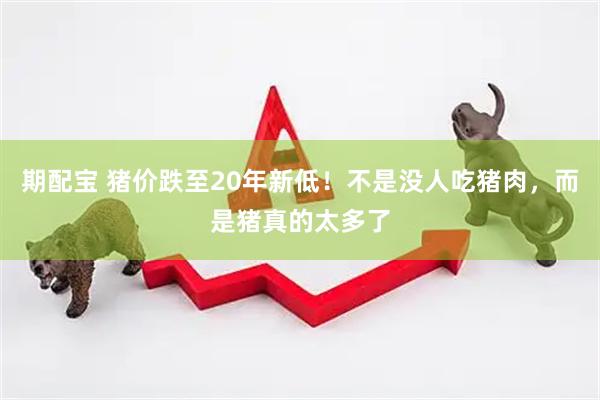 期配宝 猪价跌至20年新低！不是没人吃猪肉，而是猪真的太多了