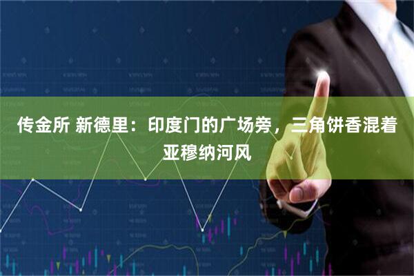 传金所 新德里：印度门的广场旁，三角饼香混着亚穆纳河风