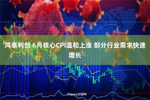 鸿泰利创 6月核心CPI温和上涨 部分行业需求快速增长
