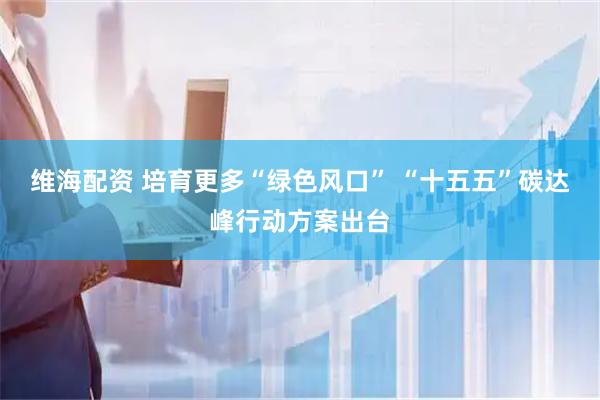 维海配资 培育更多“绿色风口” “十五五”碳达峰行动方案出台