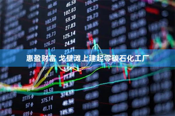 惠盈财富 戈壁滩上建起零碳石化工厂